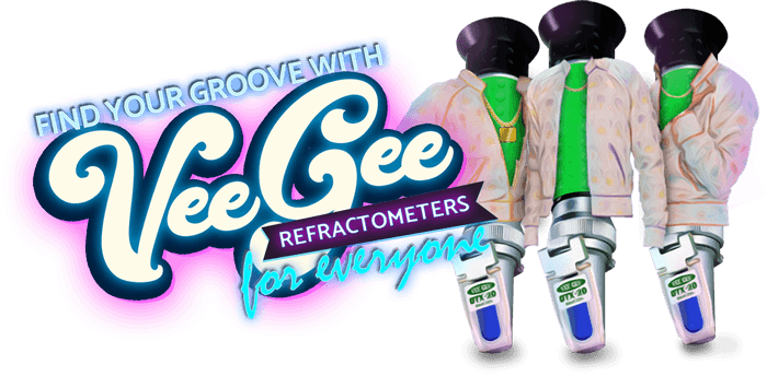 Veegee Groove